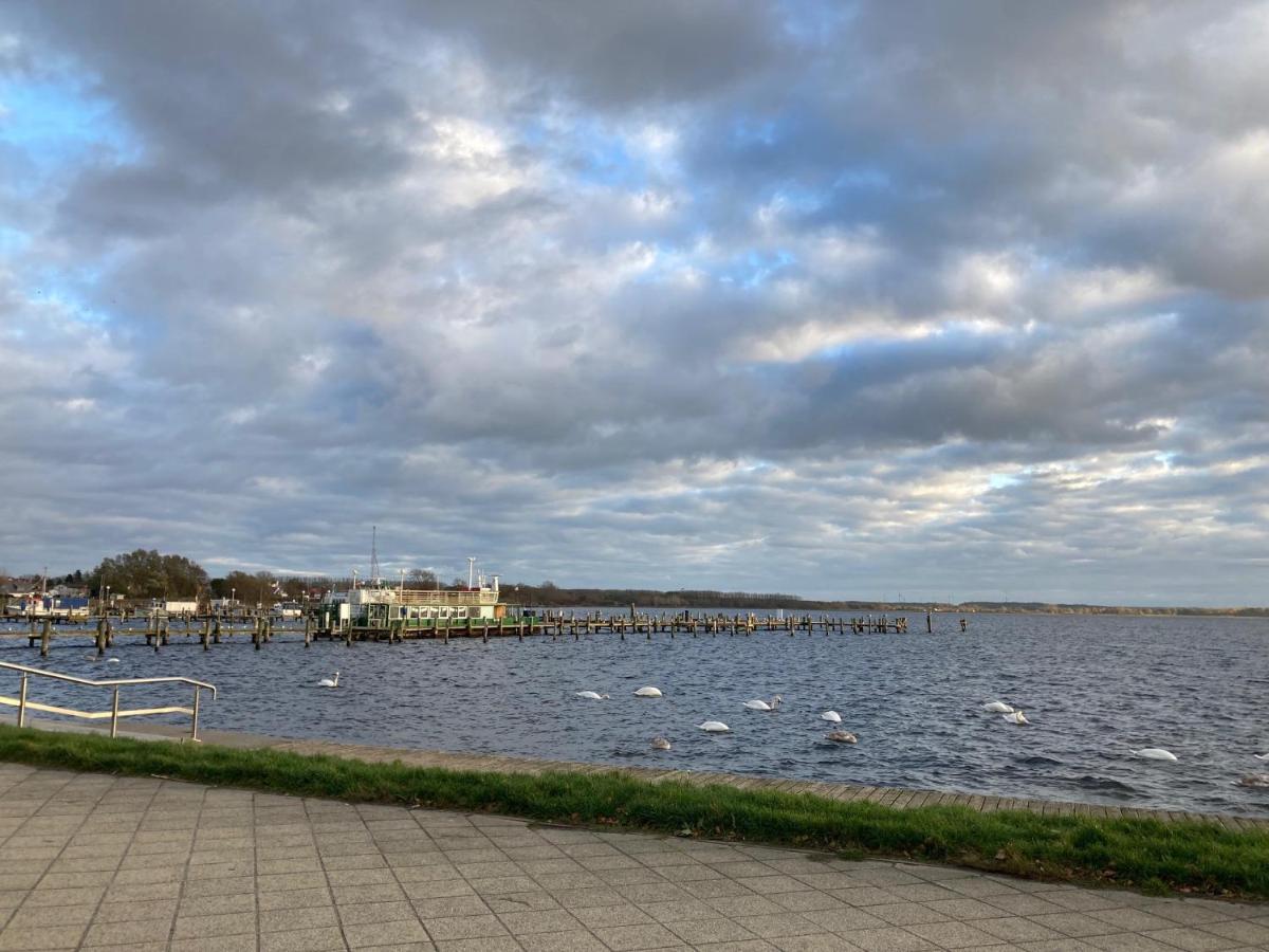 Ferienwohnung Andresen Duenenstrasse 16 Rerik Bagian luar foto